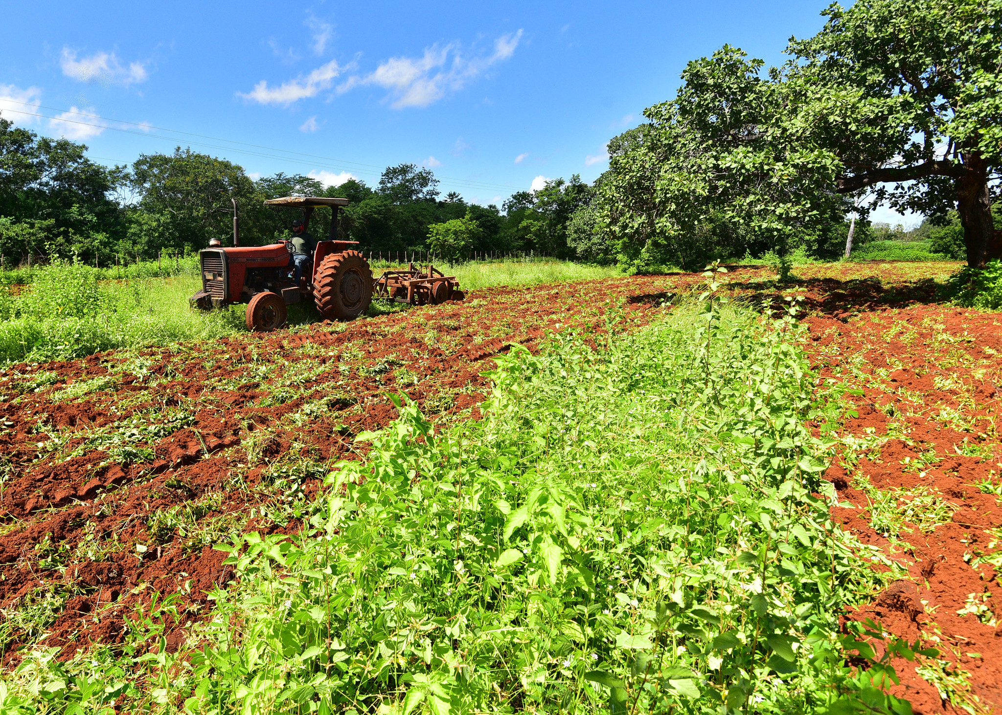 Edição 2023 do programa “Semear” entra na reta final beneficiando mais de 4,2 mil agricultores mossoroenses