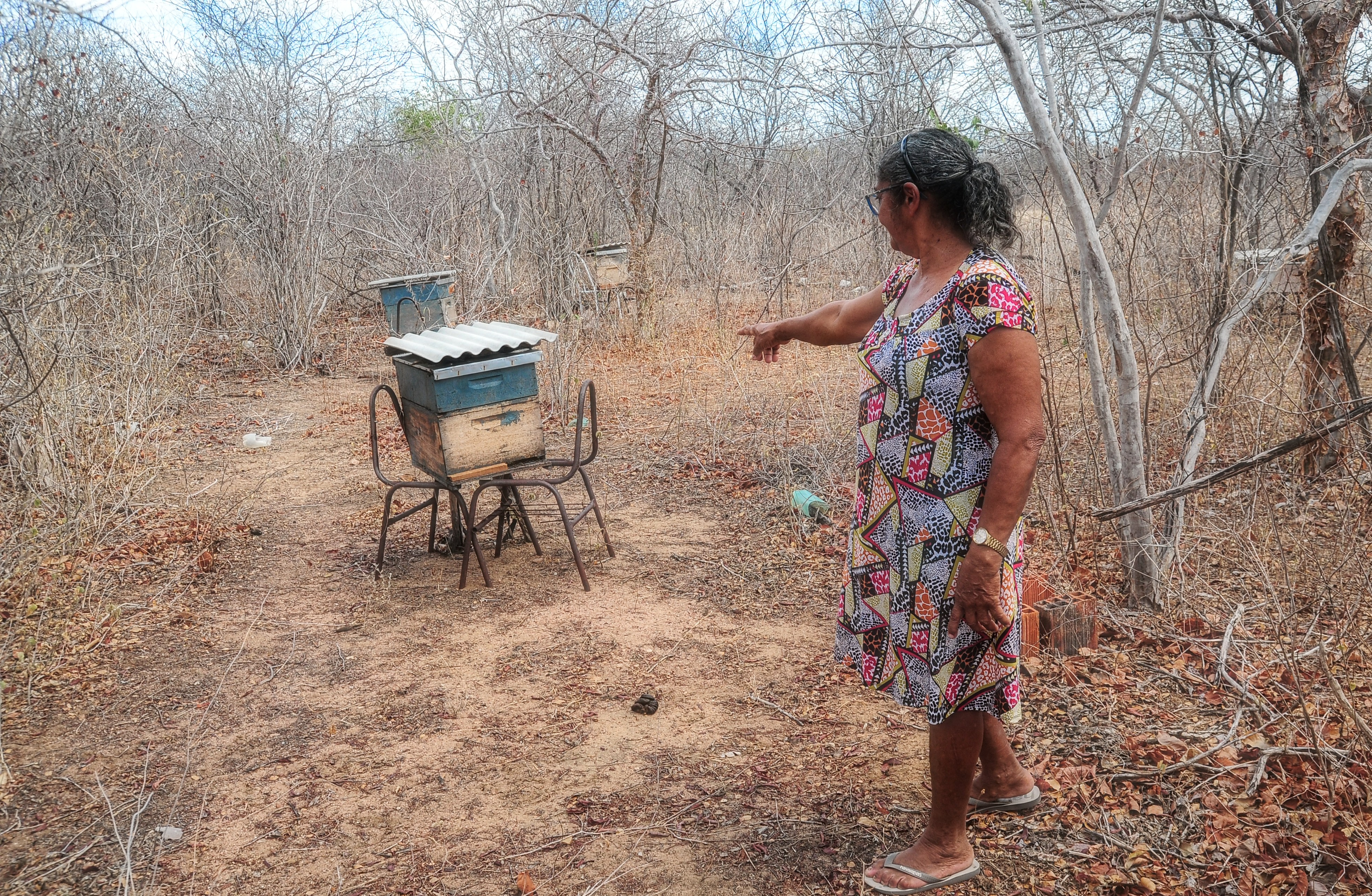 Grupo de mulheres de Mulugunzinho recebe assessoria técnica para criação de abelhas