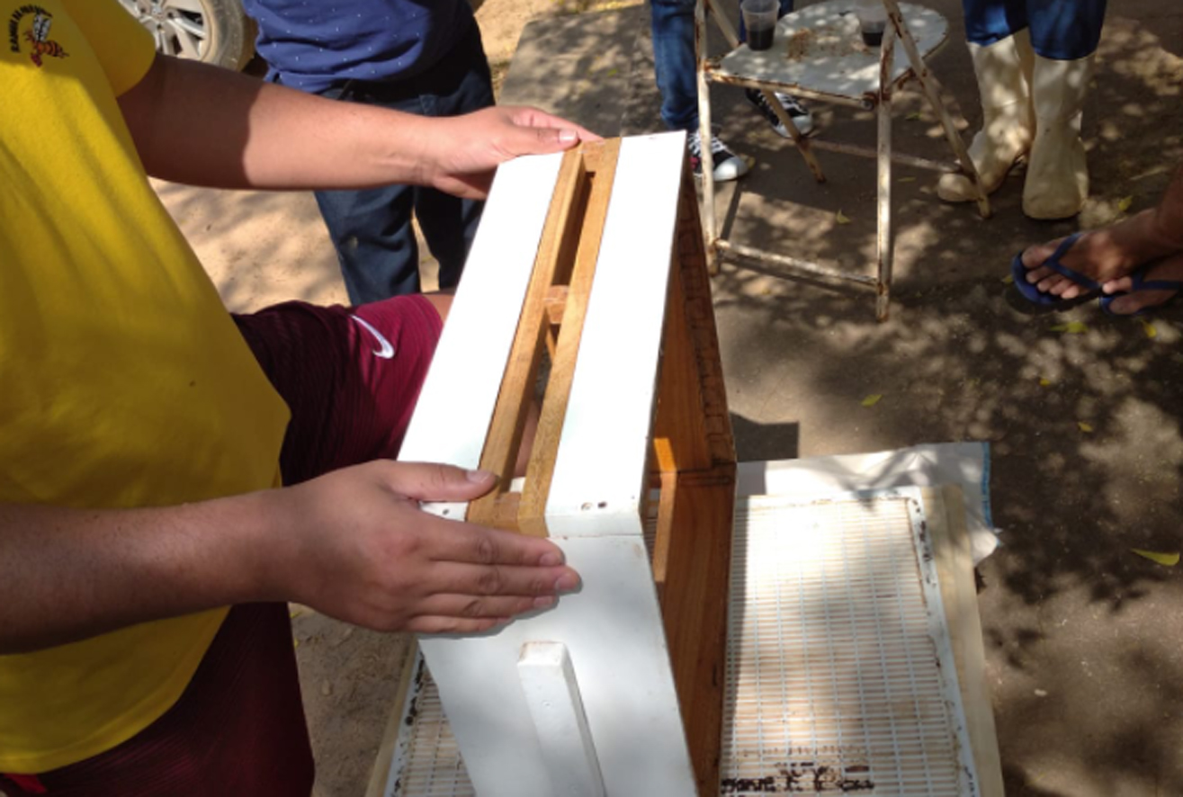 Mossoró Rural realiza assessoria técnica com apicultores