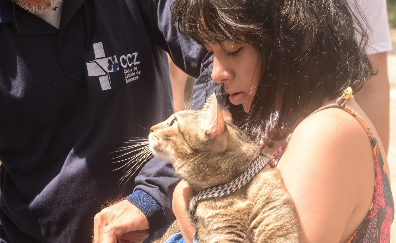 Vacinação de cães e gatos contra raiva segue neste sábado em Mossoró