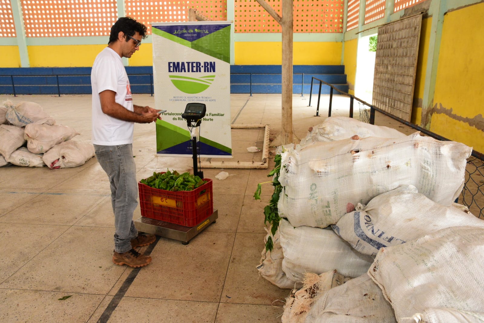 Secretaria de Agricultura entrega mais de três toneladas de produtos para o programa "Alimenta Brasil"