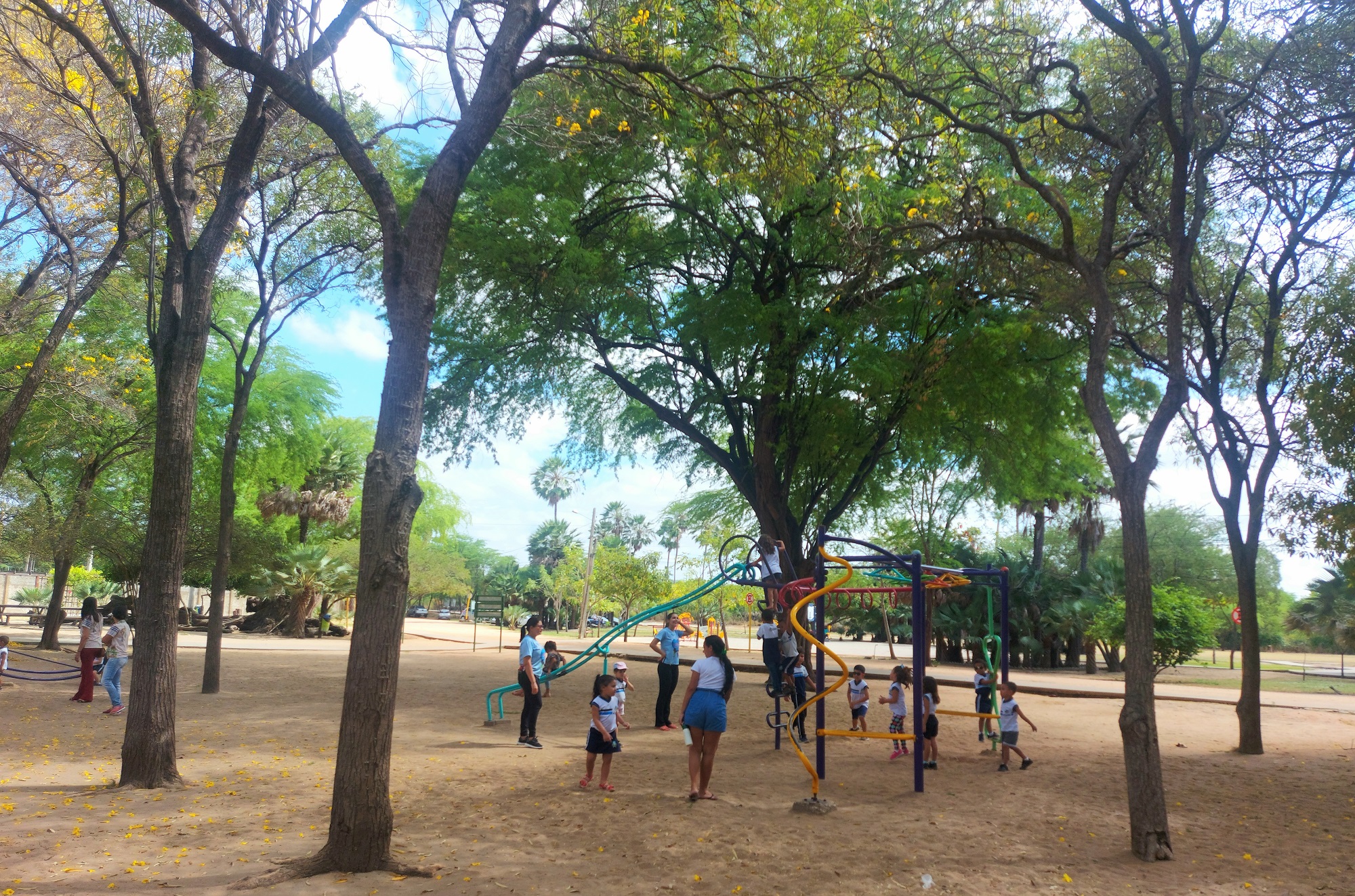 Alunos na UEI Zezinha Gurgel visitam Parque Municipal em comemoração ao Dia da Árvore