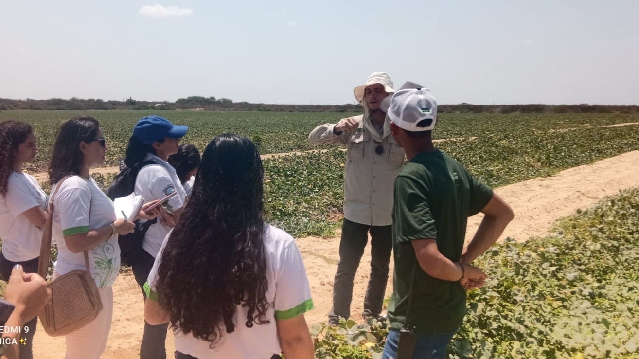Produtores rurais de Mossoró participam de cursos técnicos profissionalizantes