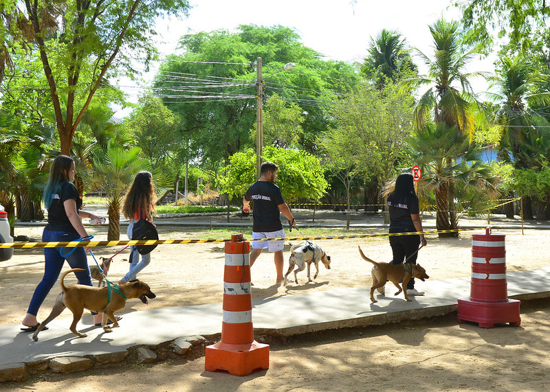 Prefeitura de Mossoró promove dia voltado à saúde e bem-estar animal no Parque Municipal