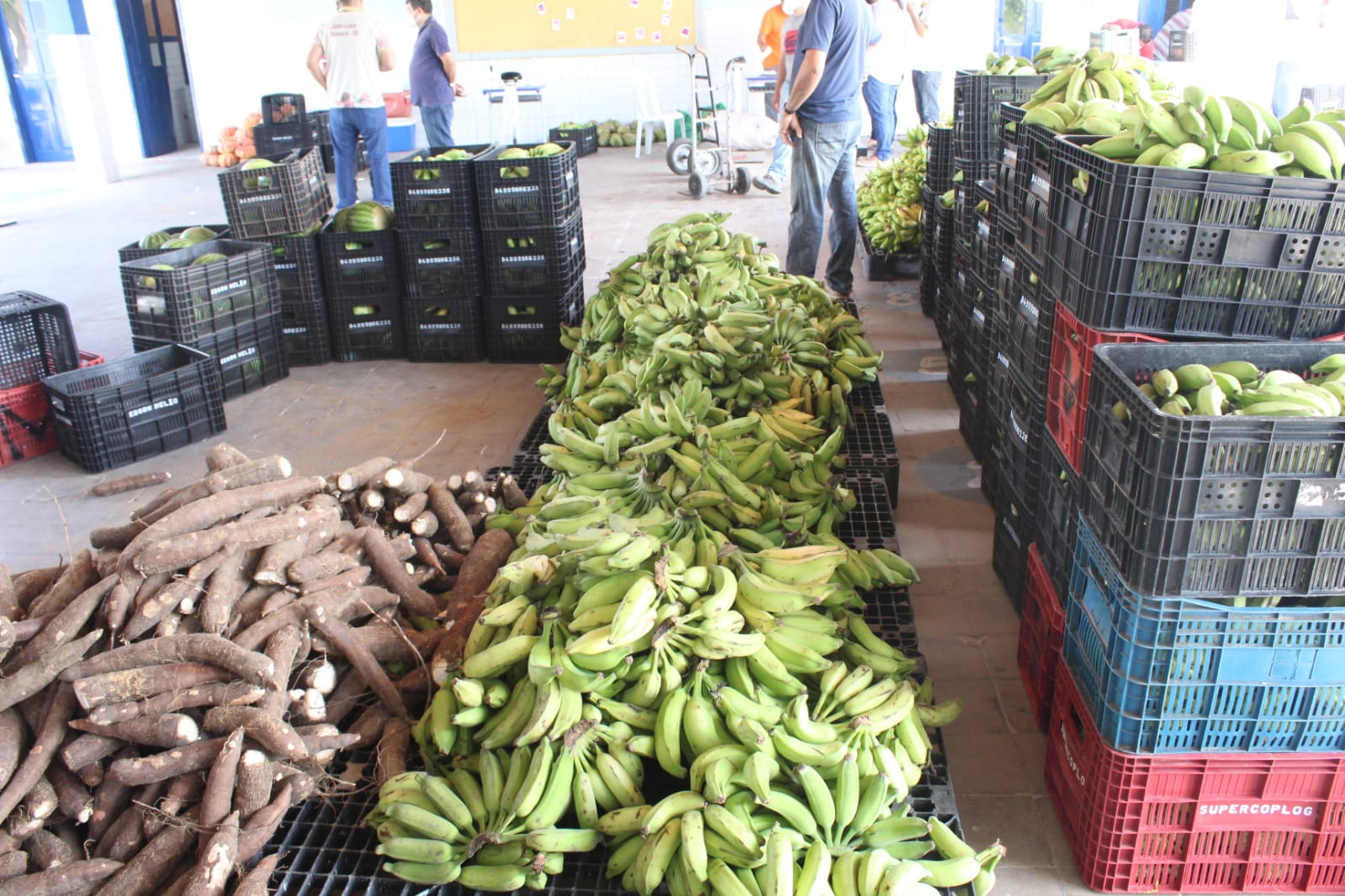 2ª etapa do PAA distribuirá mais de 20 toneladas de produtos da agricultura familiar