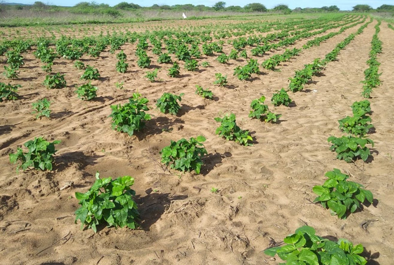 Secretaria de Agricultura divulga ações realizadas no mês de abril na zona rural de Mossoró
